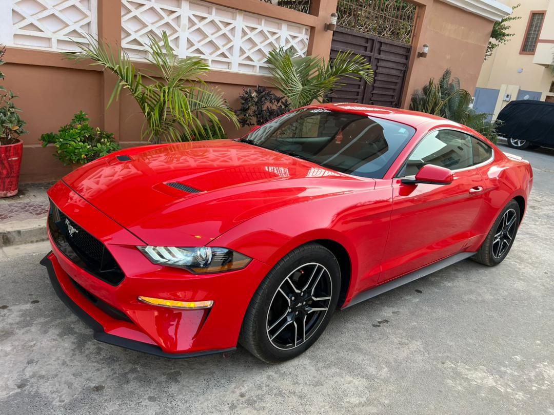 MUSTANG  2018